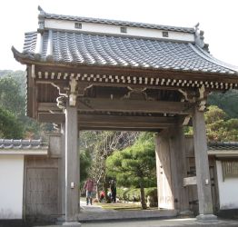 莛