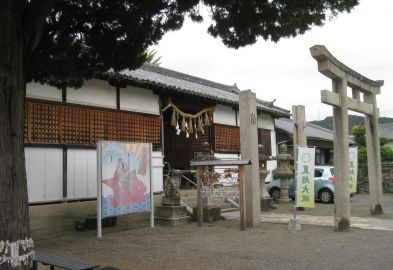 �����t���_��