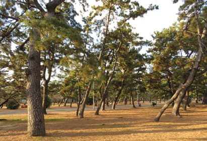 �l������